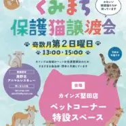 くみまち保護猫譲渡会