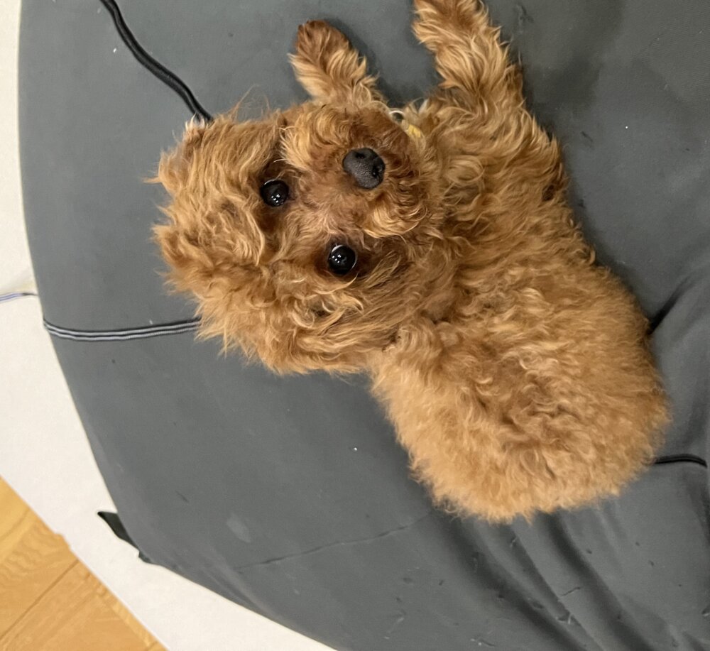 ふかた