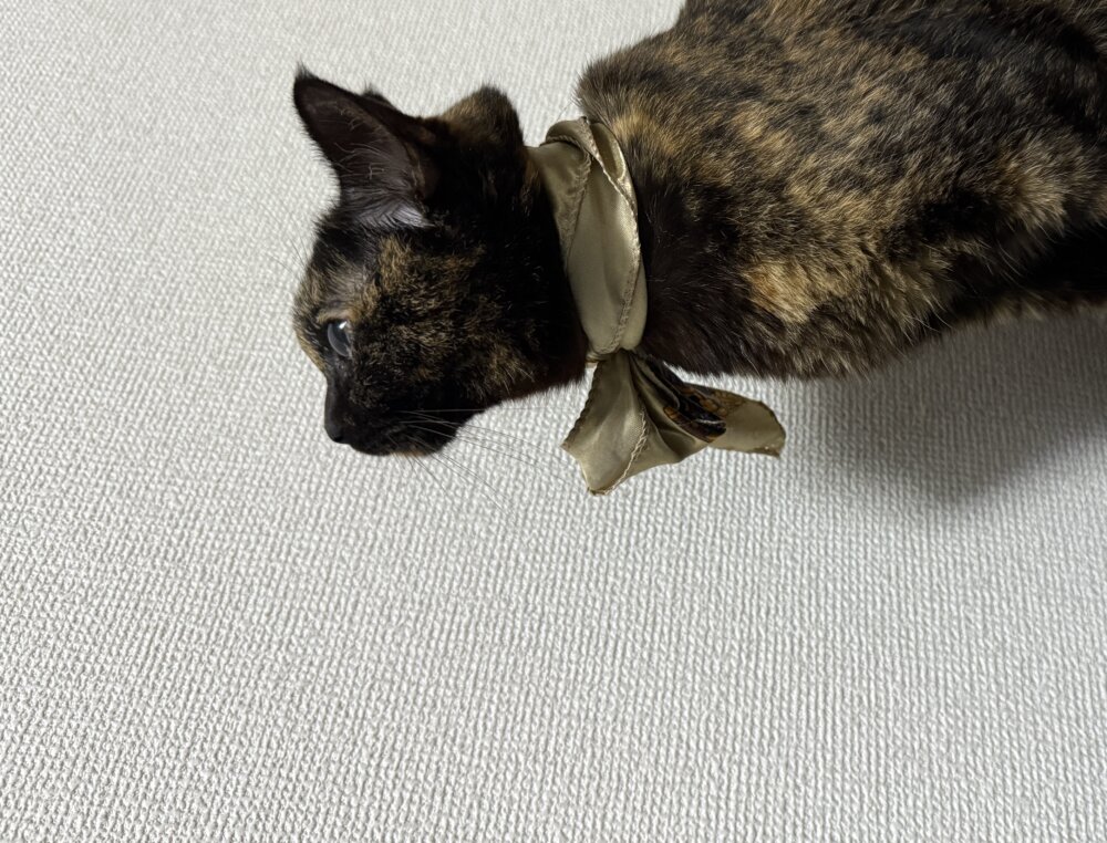 える