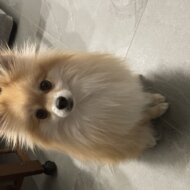 こばさん
