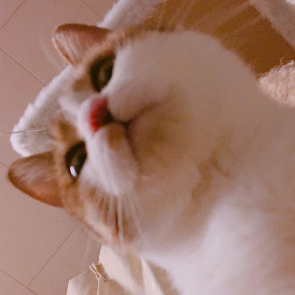 nyanore